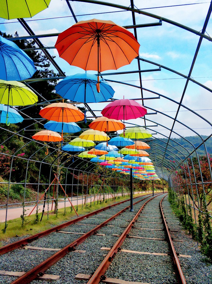 umbrella