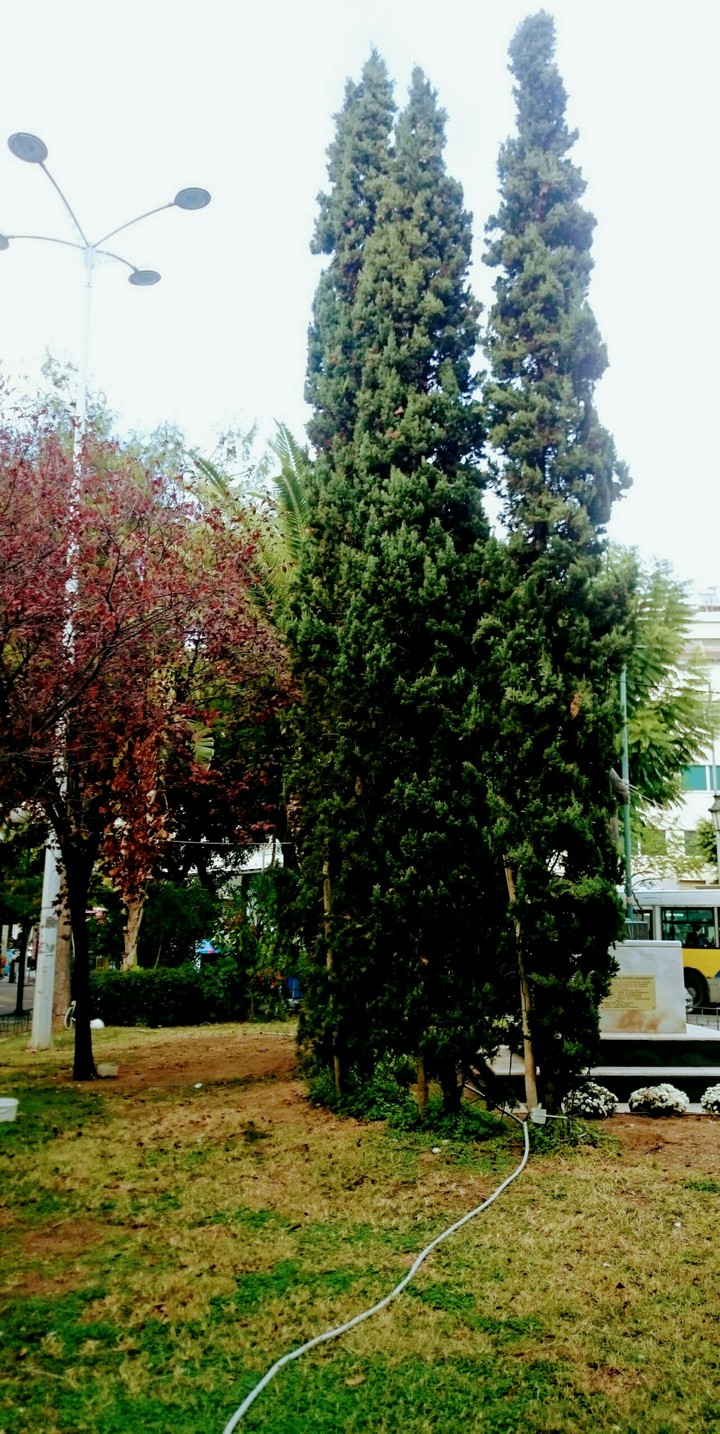 STAMATIOS