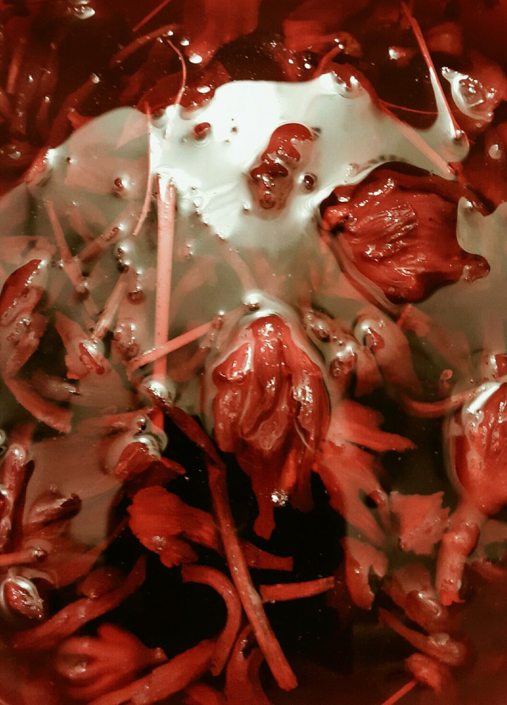 Hibiscus in water