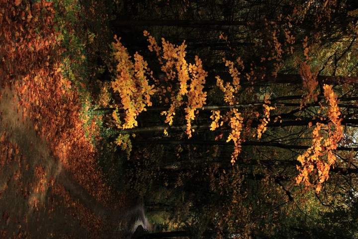 Natur, Wasser, Wunder
