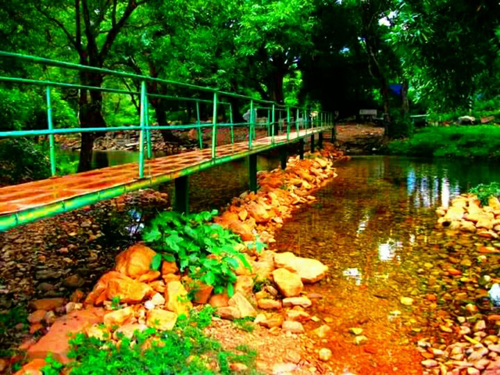 Nature