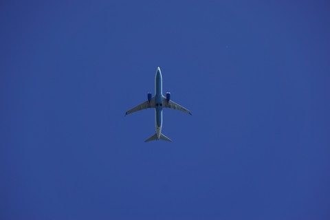 flight