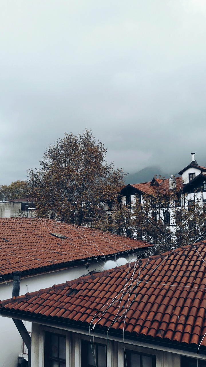 #autumn
