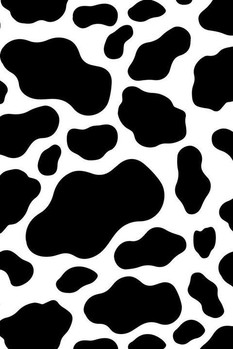 vaca