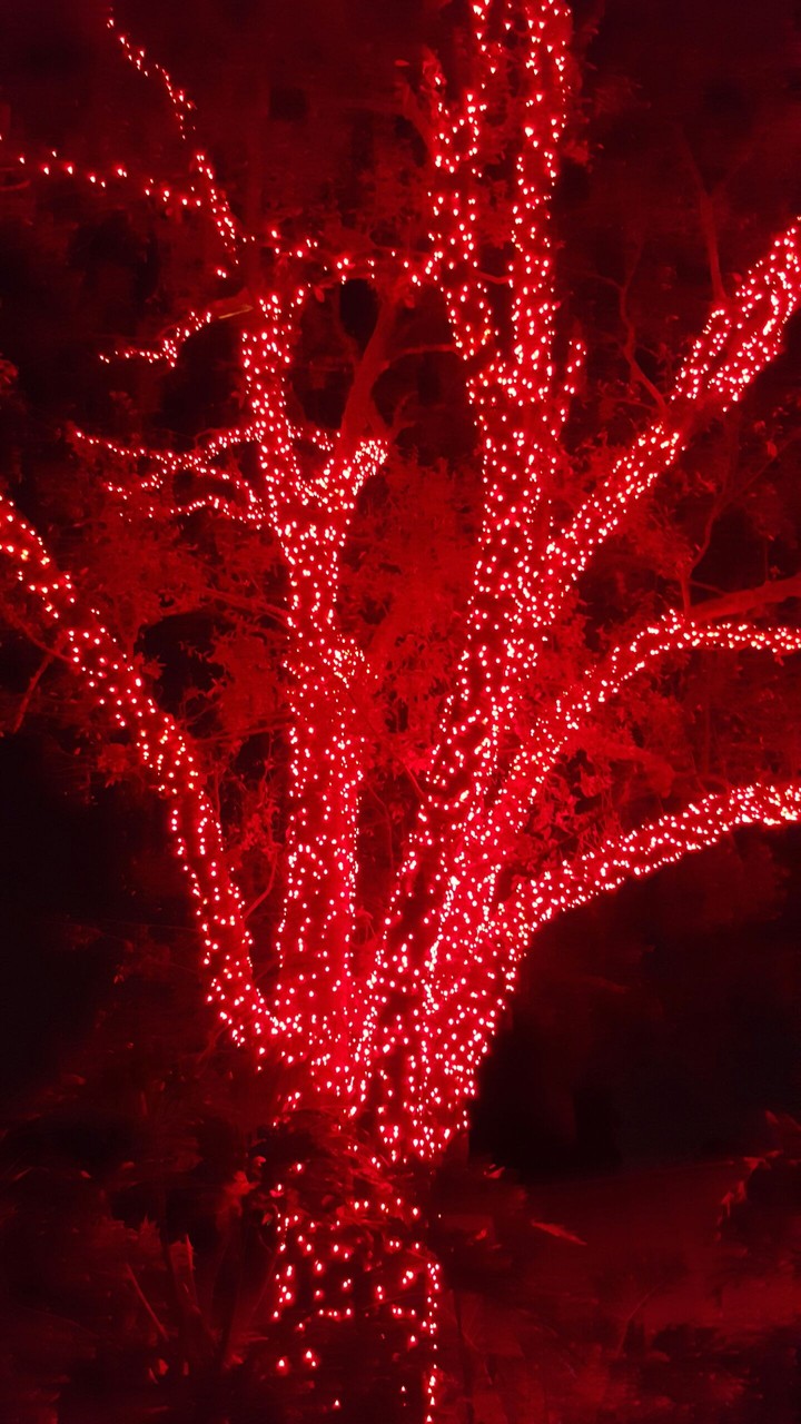 Red tree
