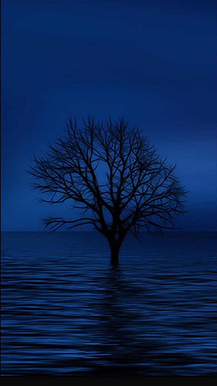 blue tree