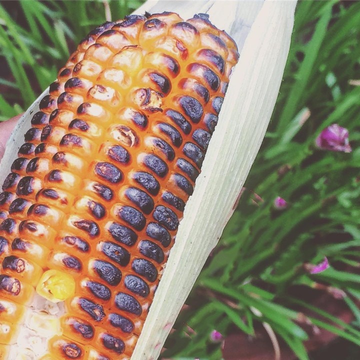 corn