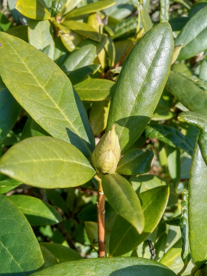 Frühling