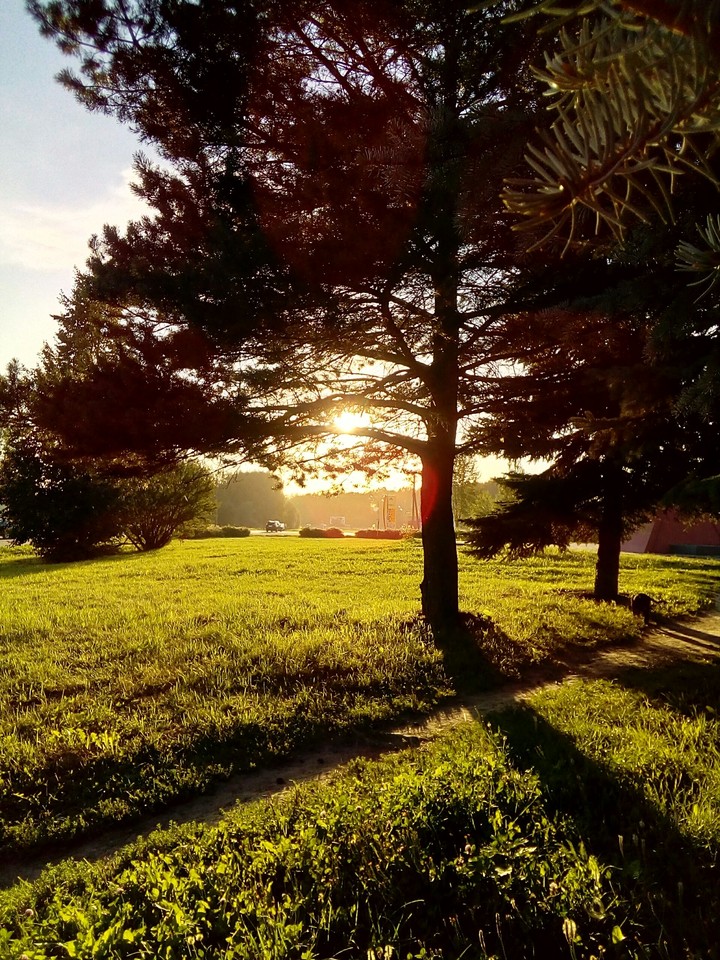 sunset