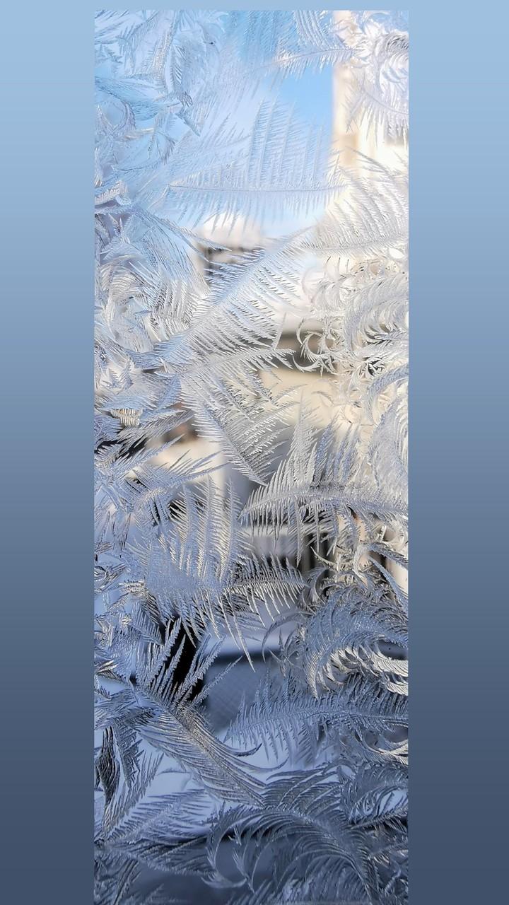 hiver blanc neige