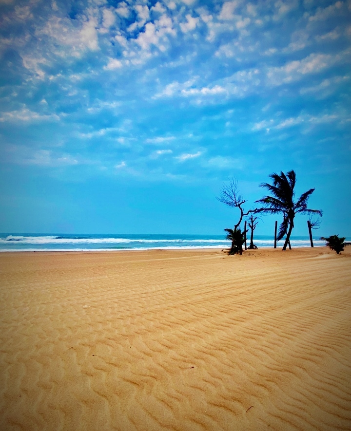 Seashore