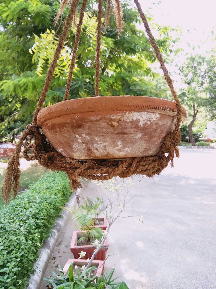 bowl
