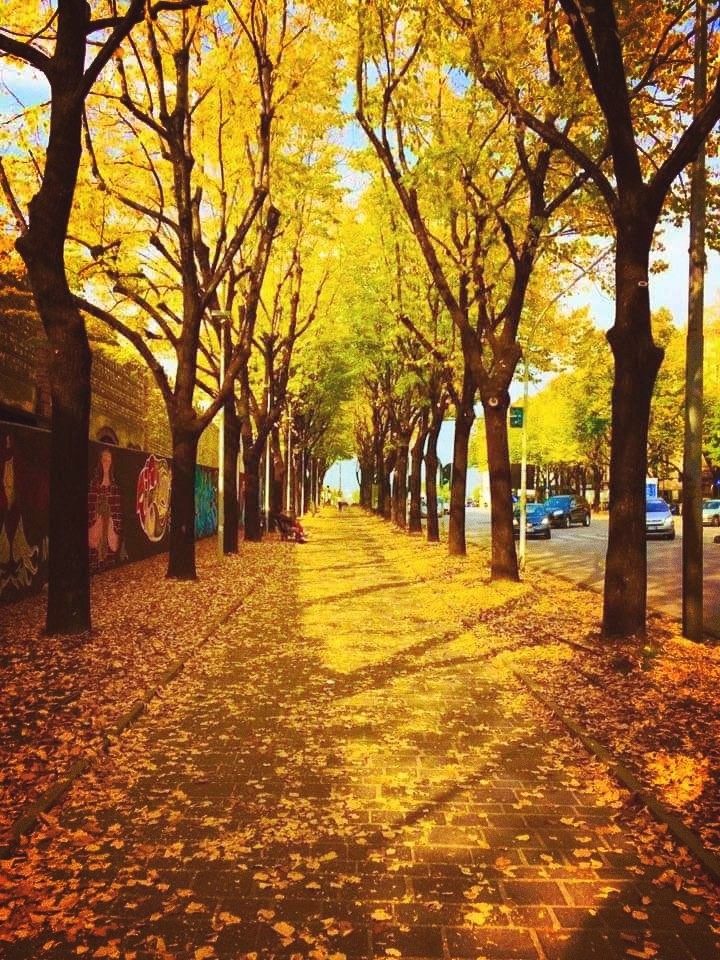 #autunno