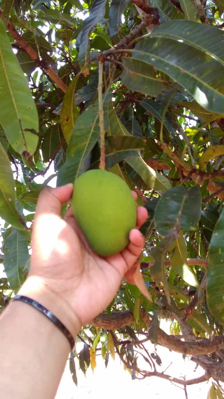 my click