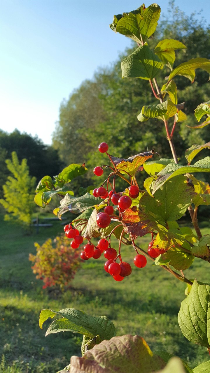 Autumn