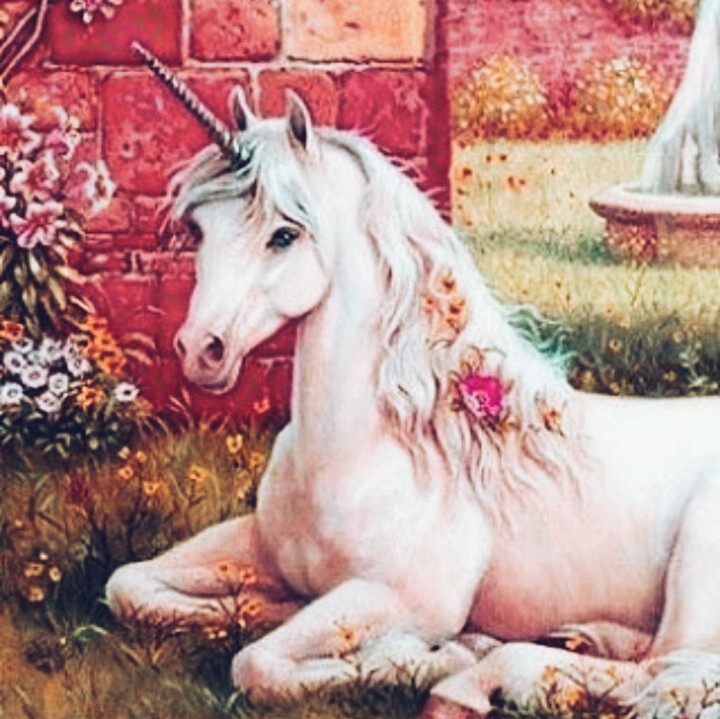 Unicorn