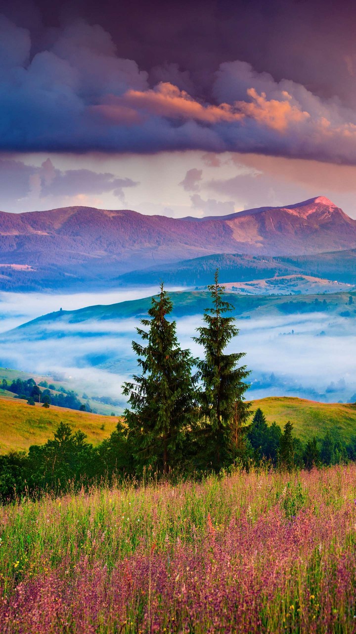 morning mountains