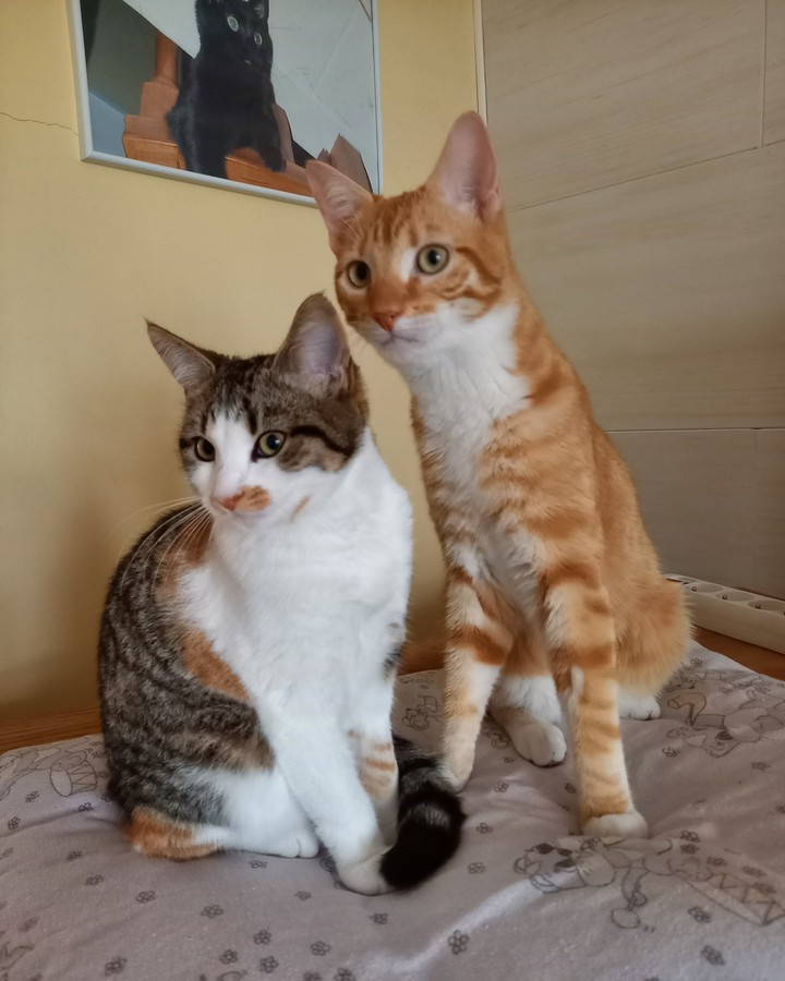 Léïa et Lino.