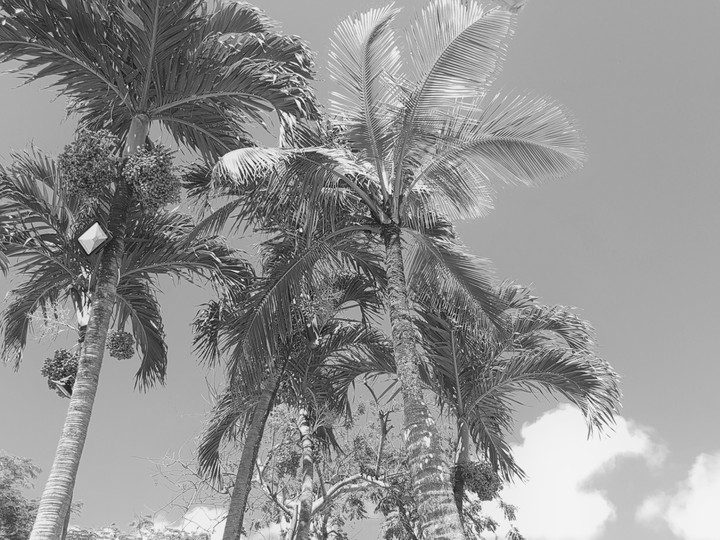 Île maurice