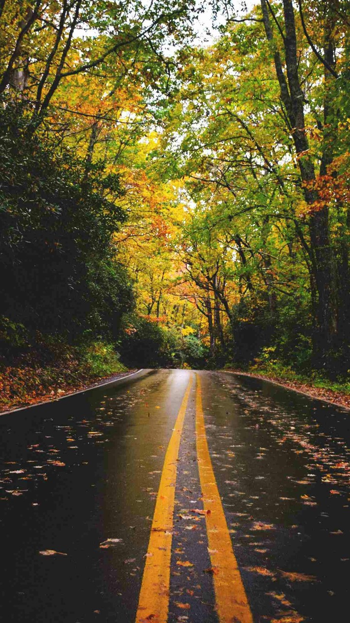 the road not taken