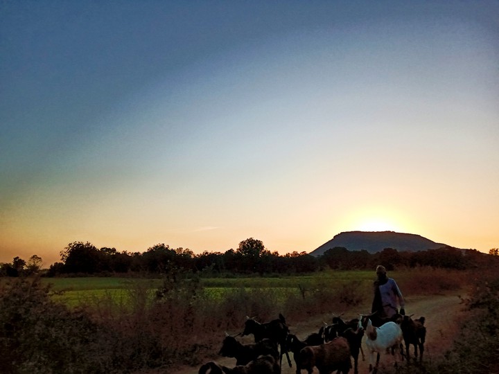 looking netural evening