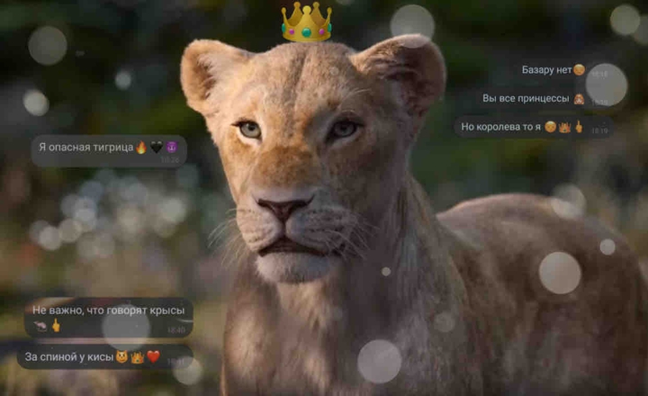 ?✨