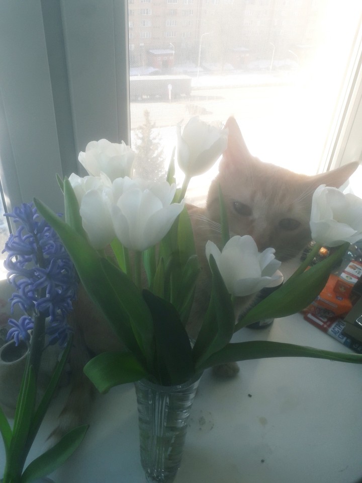 spring is here