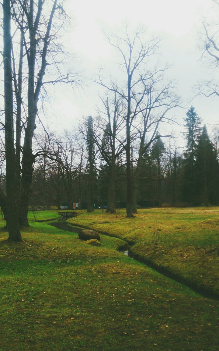 park