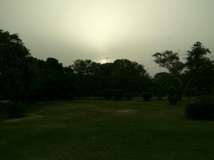sun rises