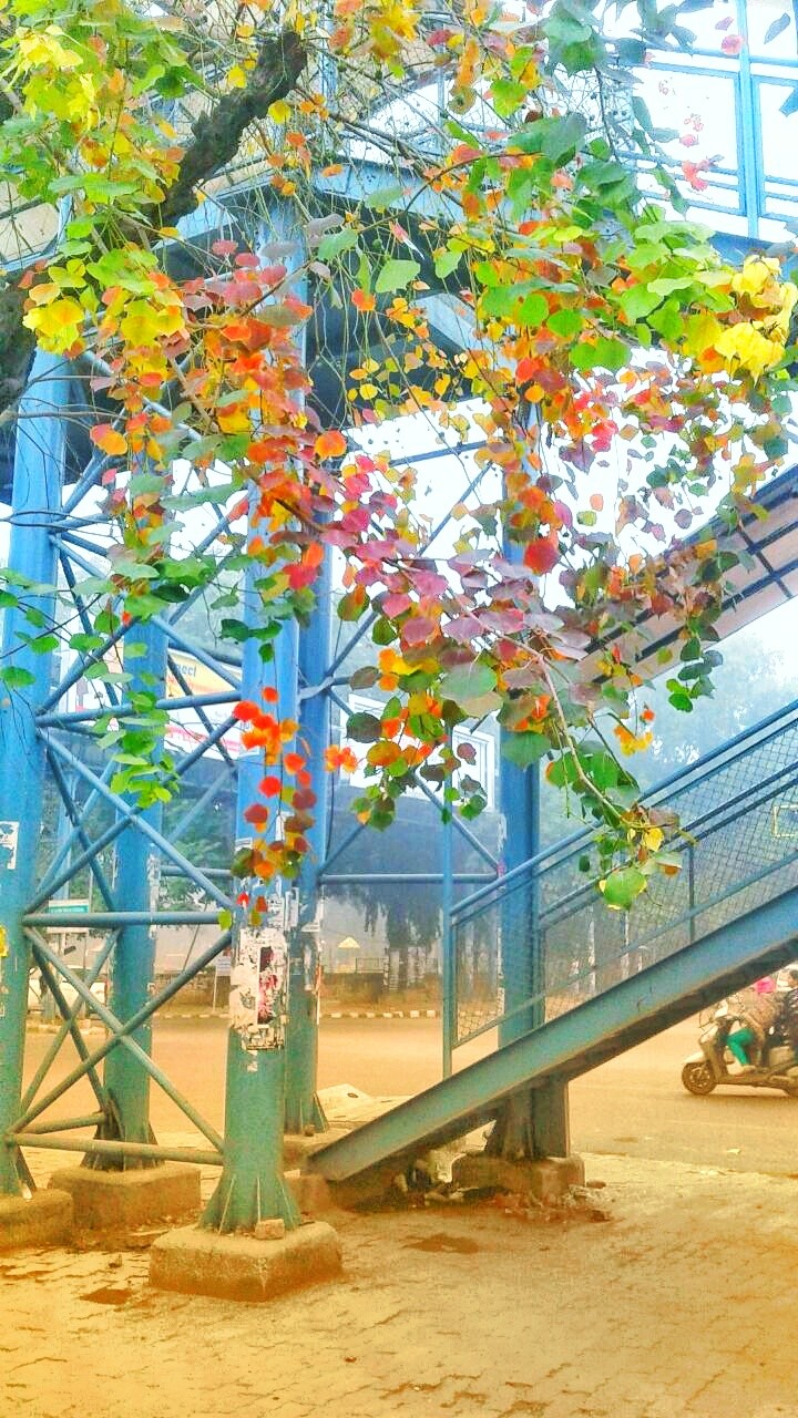 Nature