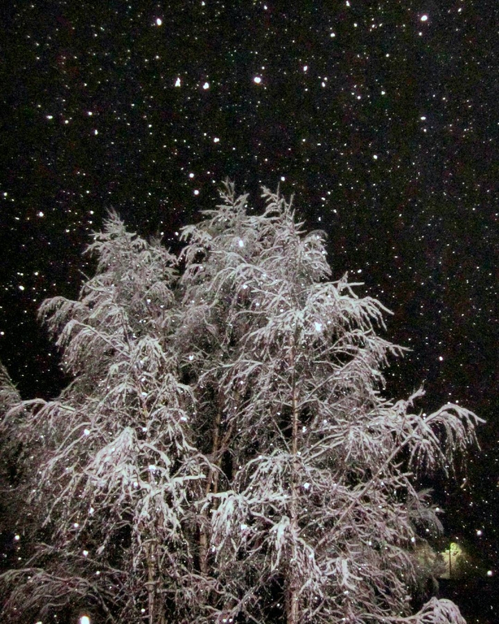 Snowing stars