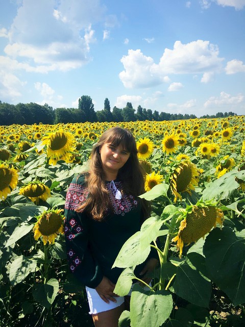 sun flowers