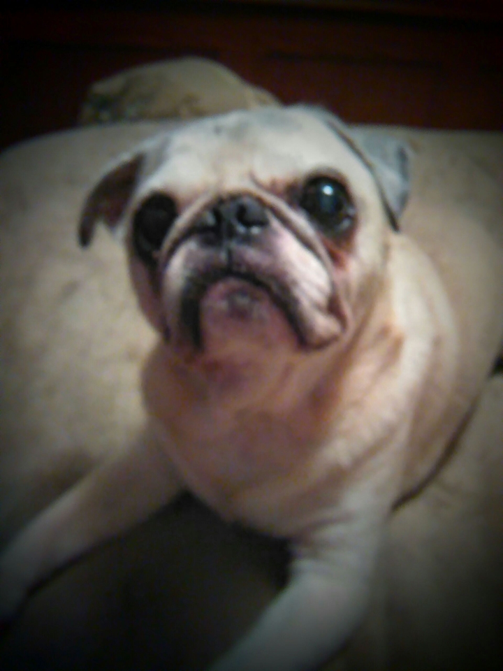My Best Friend!