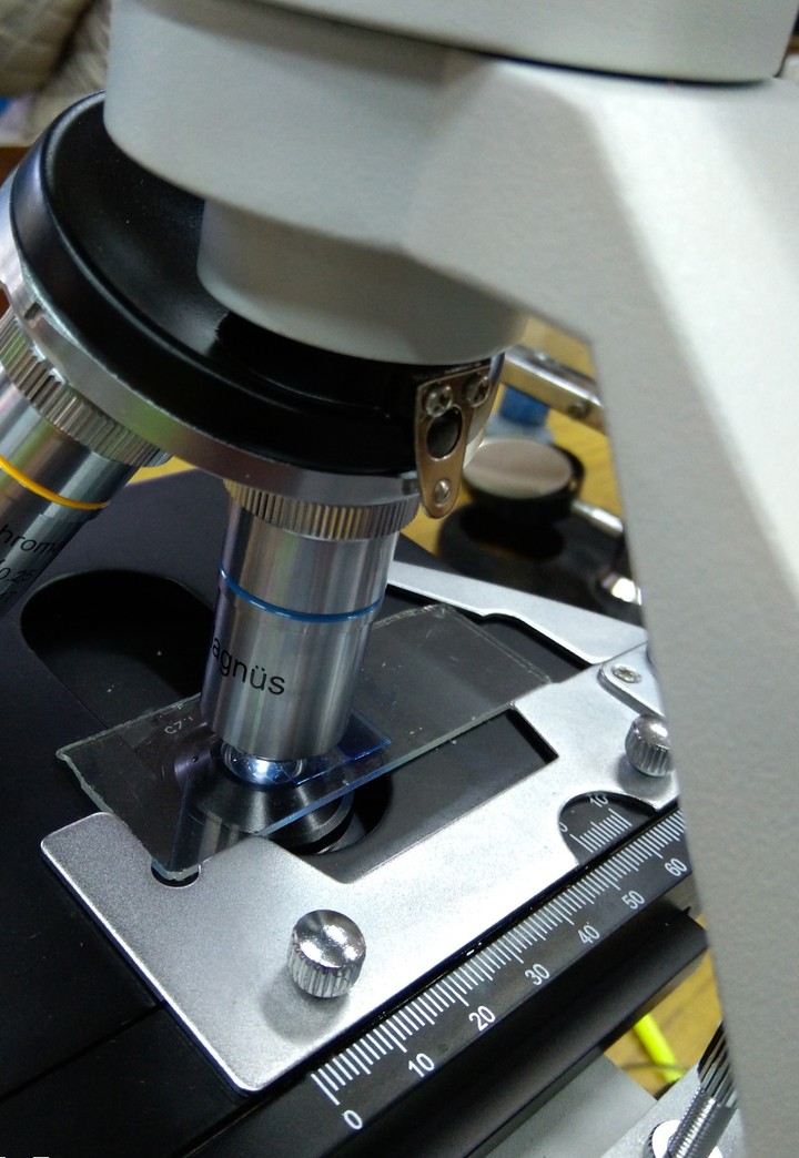Microscope