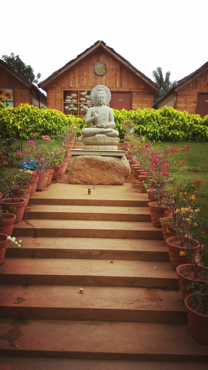 Buddha on rocks