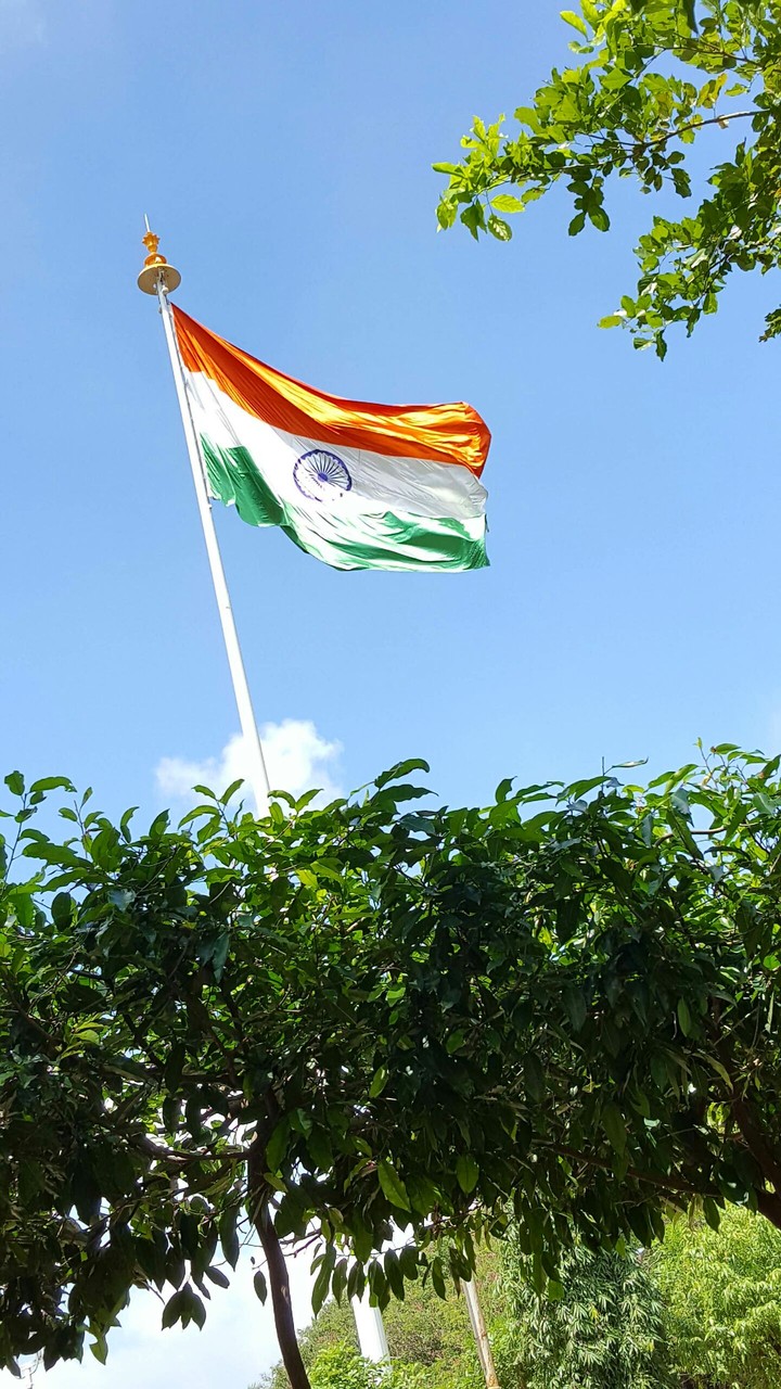 The Indian Flag