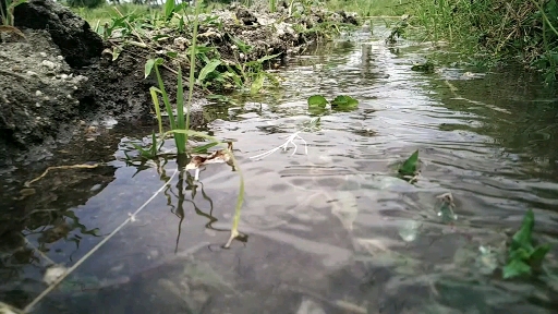 slow... motion