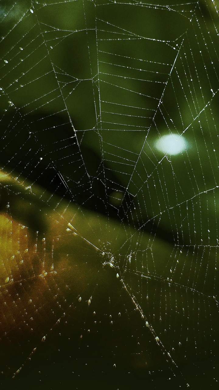 Spider man is on the way....