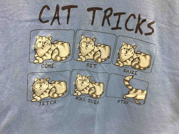 cat tricks
