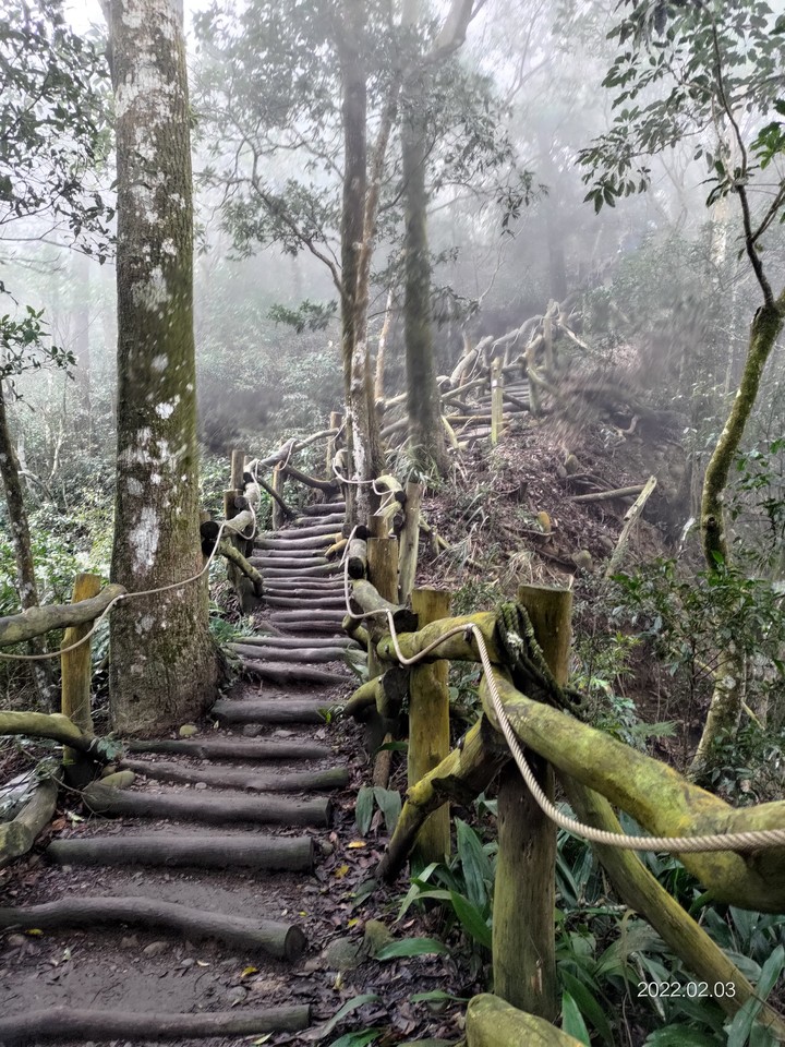 下雨的步道