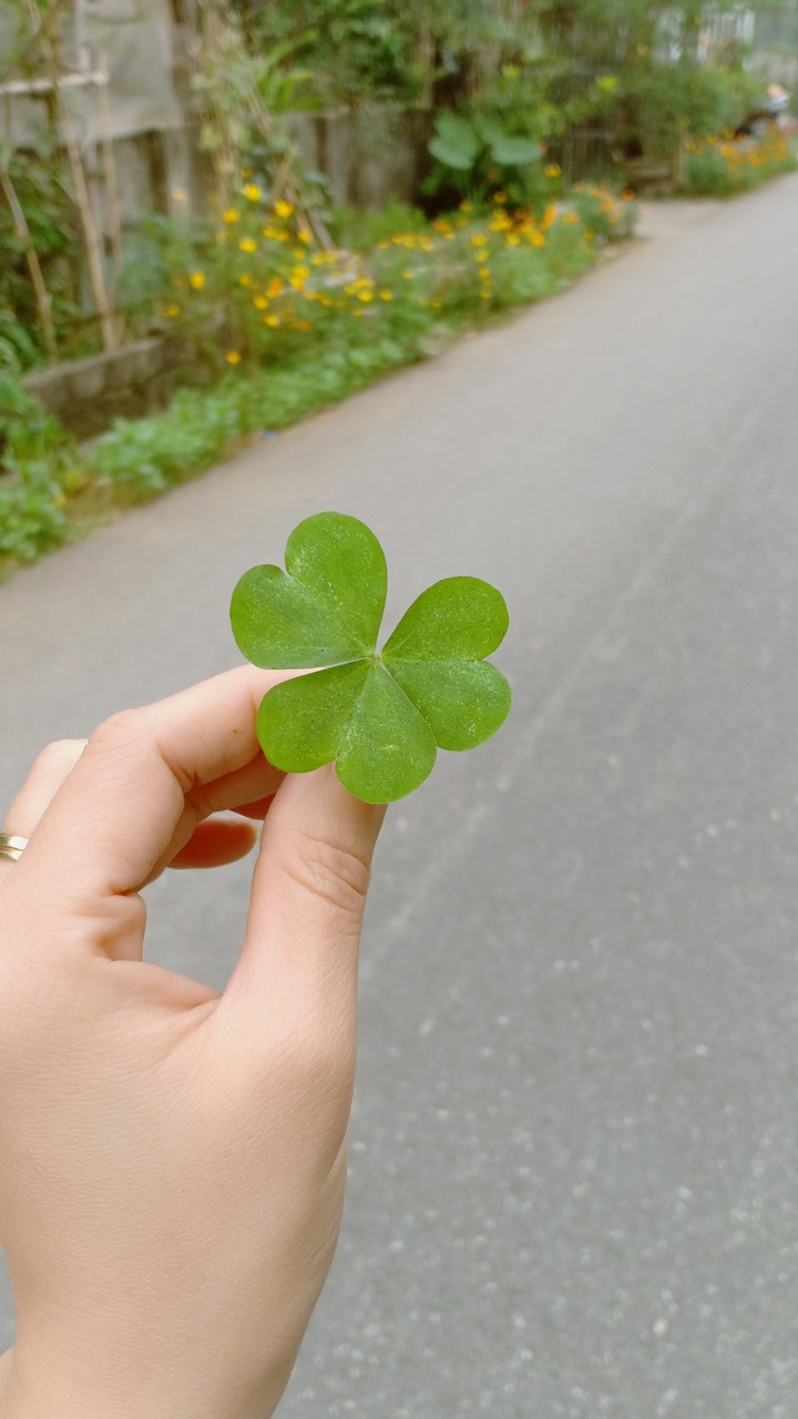 lucky