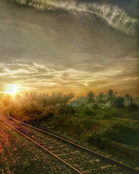 nature