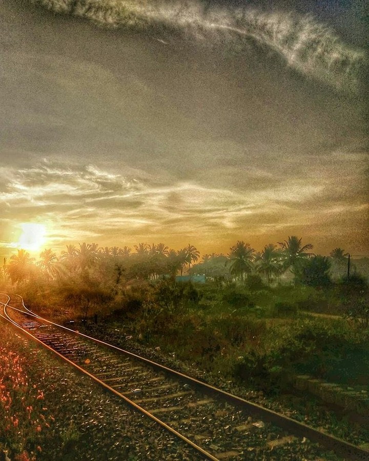 nature