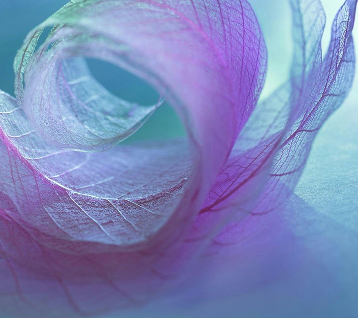 abstract