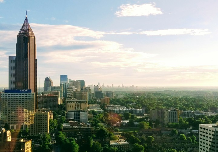 City in a forest