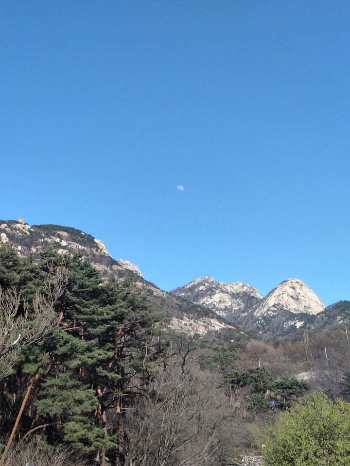 달