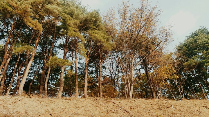 ㅇ