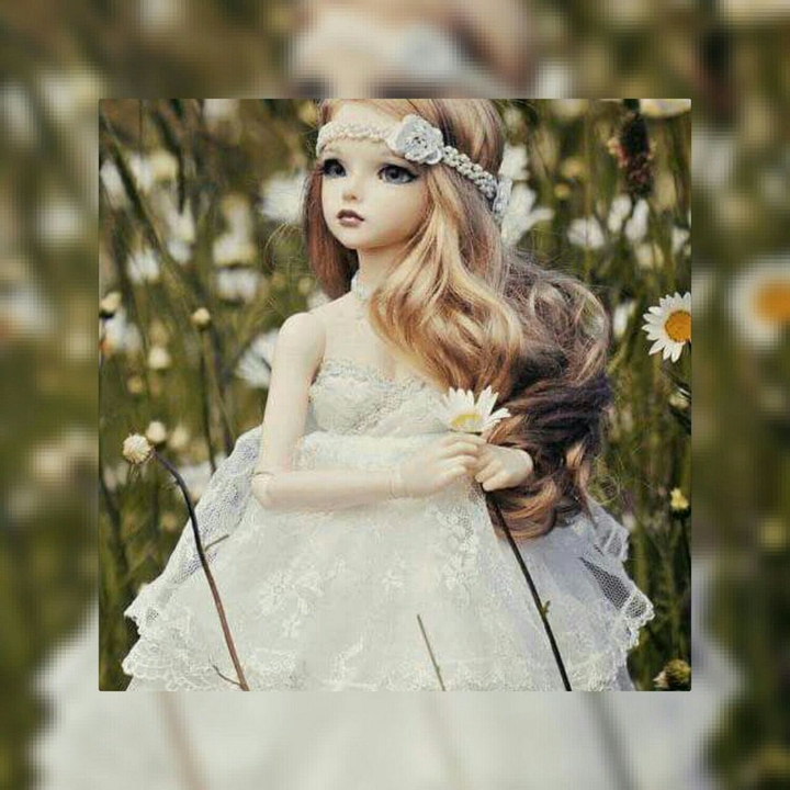 Dool