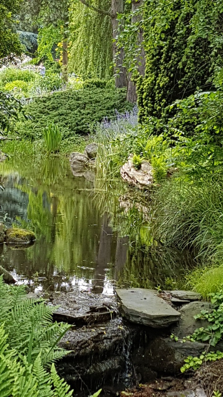 Stille Wasser