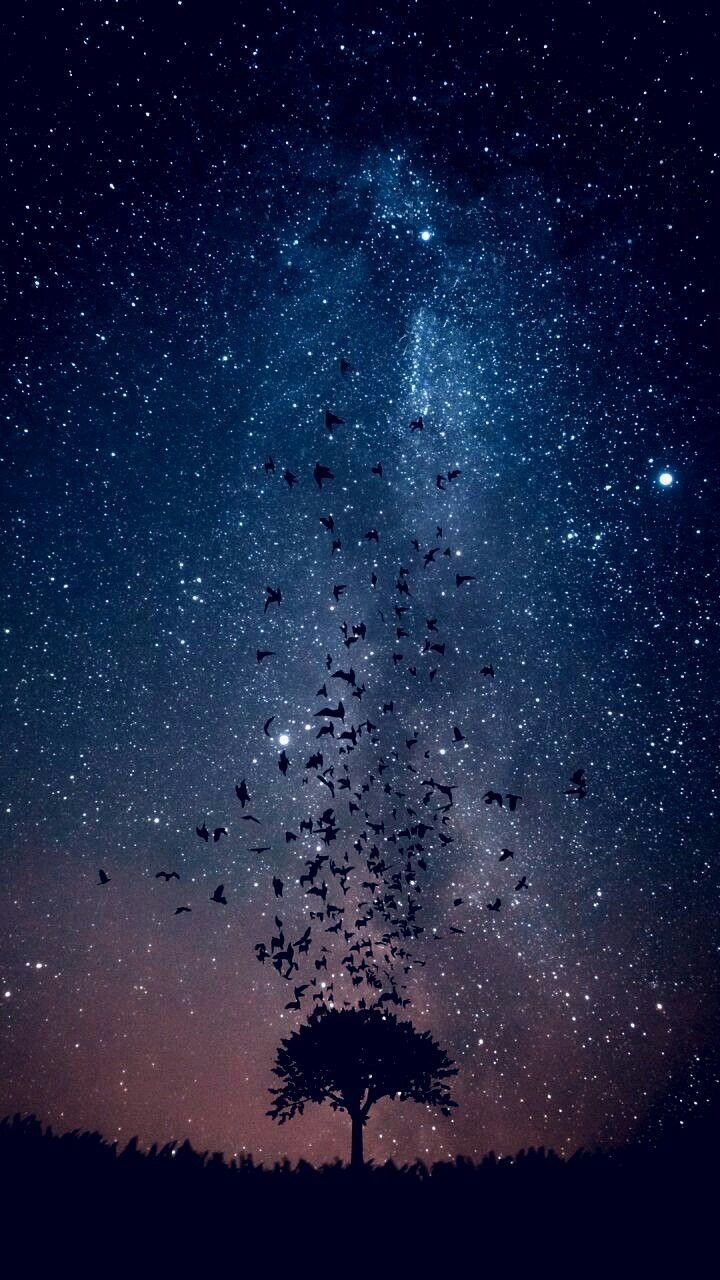 Fly into the sky